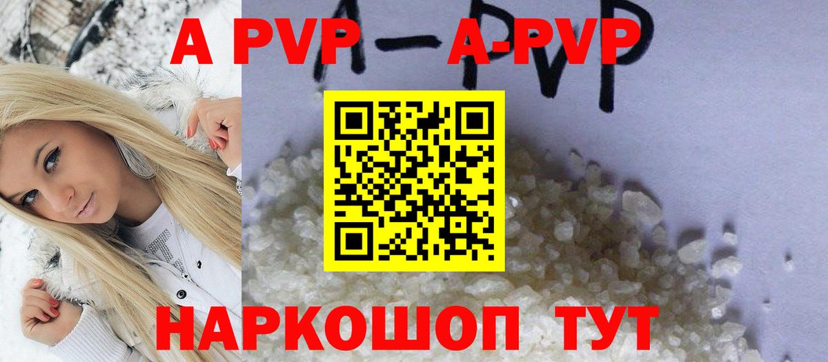 A PVP СК Великий Устюг