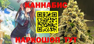 бошки Шелехов