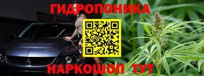бошки Шелехов