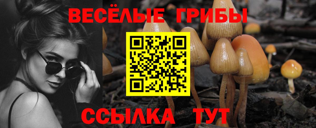 Галлюциногенные грибы ЛСД  Вход с VPN  Великий Устюг 